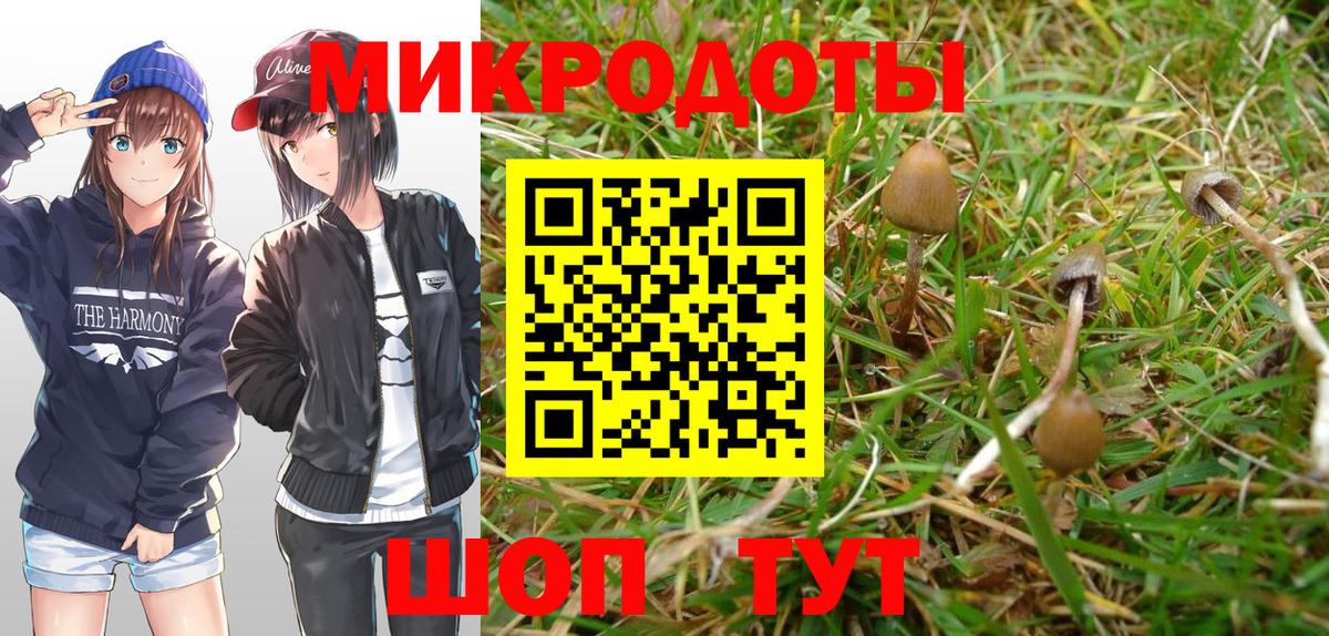 Псилоцибиновые грибы GOLDEN TEACHER  Галлюциногенные грибы Psilocybe  где продают наркотики  Орск  Вход с VPN 