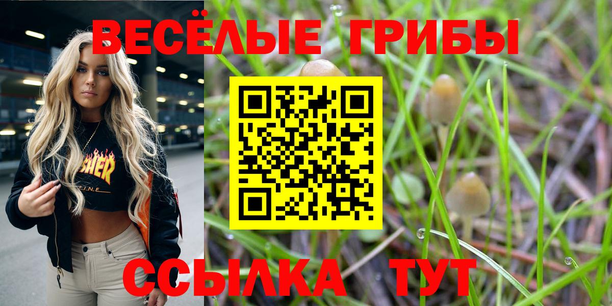 Псилоцибиновые грибы MAGIC MUSHROOMS Орск